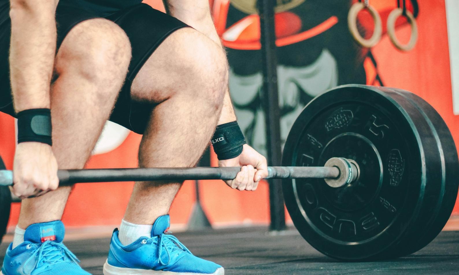 Program pembelajaran wellness Zufajuy